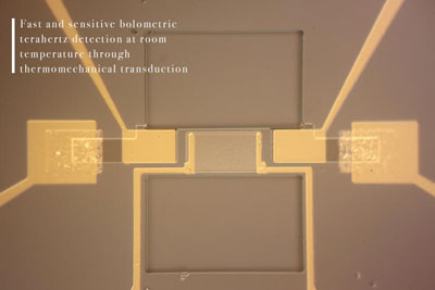 Fast and sensitive bolometric terahertz detection at room temperature through thermomechanical transduction