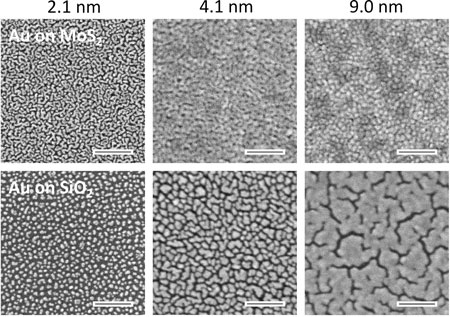 gold folms of various thickness deposited on the conventionally used silicon dioxide substrate