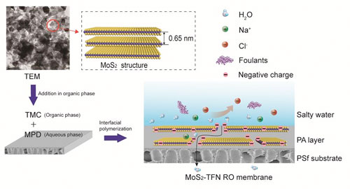 Nanocomposite Reverse Osmosis Membrane for Water Desalination