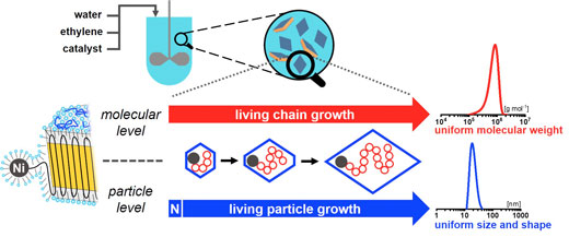 Concept to obtain uniform size and shape particles by controlled polymerization on a molecular as well as particle level