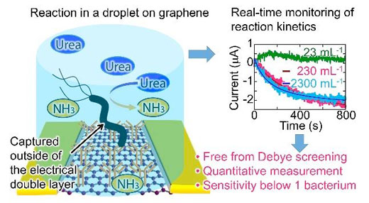 Electrical Biosensing Using Graphene Field-Effect Transistor in Femtoliter Microdroplet