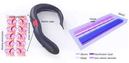 bionic stretchable nanogenerator