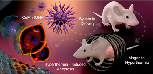 using cobalt- and manganese-doped nanoparticles to kill tumors via magnetic hyperthermia