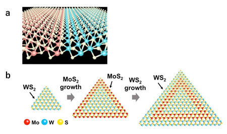 Structure of a Perfect Transition Metal Dichalcogenides Heterostructure Interface