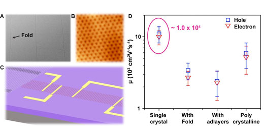 adlayer-free single crystal graphene film
