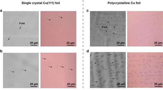 adlayer-free single crystal graphene films on Cu(111) foils