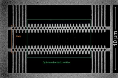 Two crystal optomechanical oscillators mechanically couple
