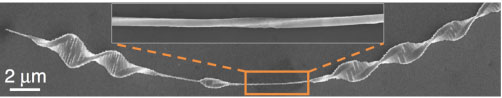 Micrograph of nanowire with Eshelby twist (inset) spontaneously grown into microscale DNA-like structure