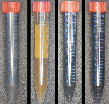 four test tubes side by side, each containing a graphene substance of a different color