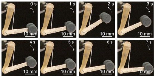 artificial muscles