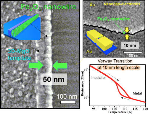 magnetite nanowire investigation
