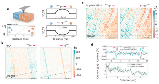 Scan direction dependence of the DPFM signals