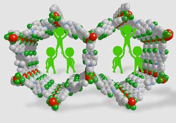 Polymer Braces, Placed inside Large-Pore MOFs, Help to Inhibit the Collapse of the Framework
