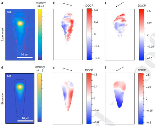 Graph that Shows the Spatial Distribution of the Polarization of Light
