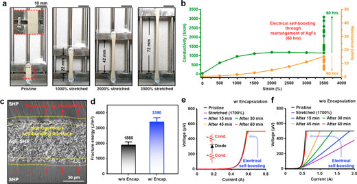 Photographs of a Polymeric Complex Stretched to 3,500%, and Electrical Conductivity Graph