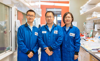 From left: Drs. Xingya Jiang, Jie Zheng and Bujie Du