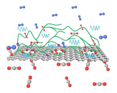 CO2-selective polymeric chains anchored on graphene effectively pull CO2 from a flue gas mixture
