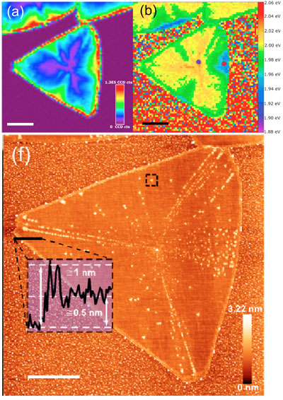 monolayer tungsten disulphide