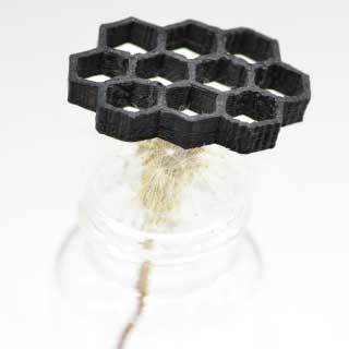 3D carbon nanotube atop a dandelion