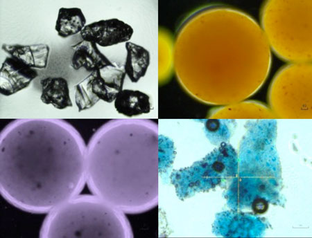 This image shows microplastic debris in cosmetics under optical microscopy