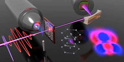 Light-induced electron localization dynamics in transition metals