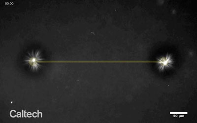 Two asters (white) form and are guided together with beams of light (dark yellow)