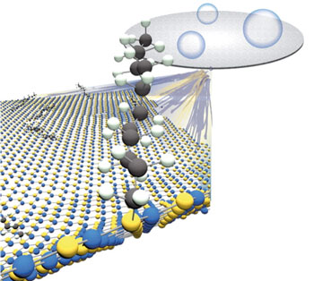 adding carbon chains to hexagonal-boron nitride