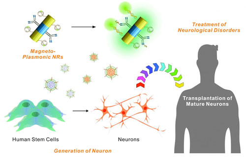 Nanotechnology for Stem Cells