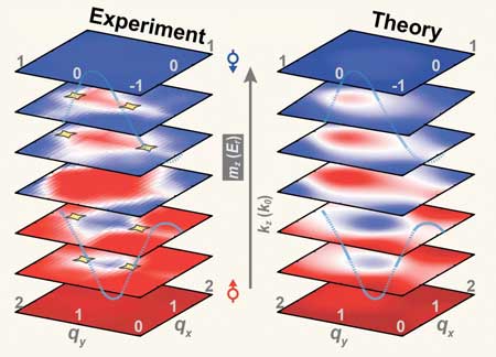 Three-Dimensional Band Topology Is Experimentally Mapped out Showing Nodal Lines in Good Agreement