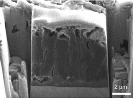 SEM image of the cross section of a columnar microstructure