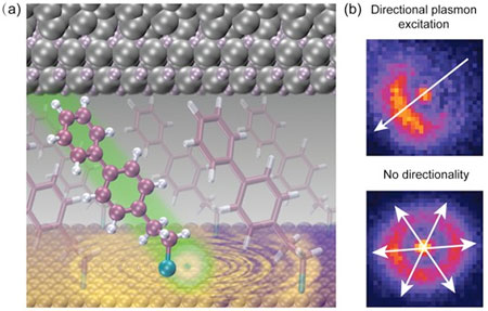 directional tunnelling in a molecular double-barrier junction followed by plasmon excitation