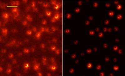 Images of Single Molecules