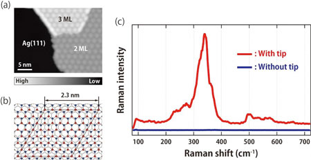 Tip-enhanced resonance Raman spectrum of ultrathin ZnO films on a Ag(111) surface