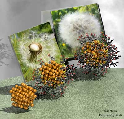 Predicting atomic structures of hybrid metal nanoparticles