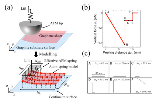 model to simulate the adhesive characteristics during the peeling process of armchair-type graphene sheets