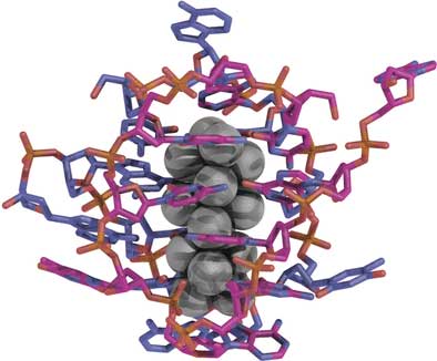 a nanocluster of 16 silver atoms stabilized by a wrapping of DNA strands