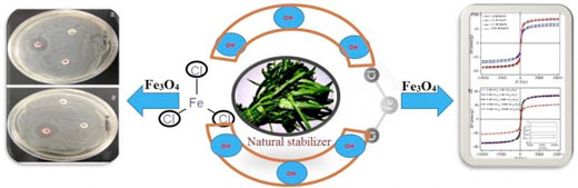Eco-friendly synthesis of magnetic nanoparticles