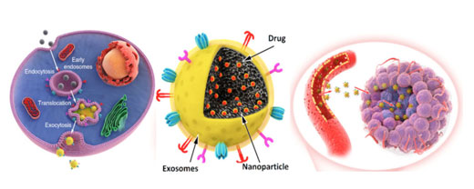exosome-based nanomedicine