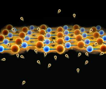graphene sieve to separate protons from all other ions