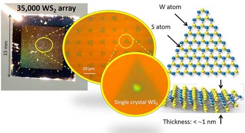 A substrate (left photograph) that is fabricated by integrating about 35,000 monolayer single crystals of WS2, and a structural schematic of the monolayer single crystal of WS2 (right figure)