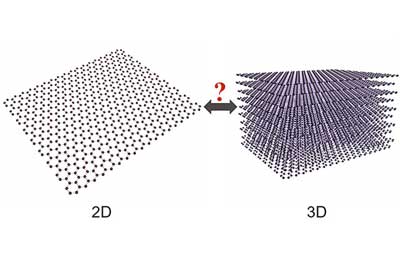 2D and 3D graphene