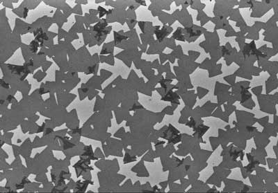 A scanning electron microscope image shows tungsten disulfide grown on a sapphire substrate