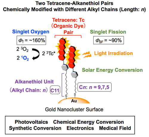 Overview of singlet fission reaction in a tetracene alkanethiol-modified gold nanocluster