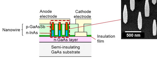 Cross-section of the Nanowire Backward Diode and the Nanowire Crystals