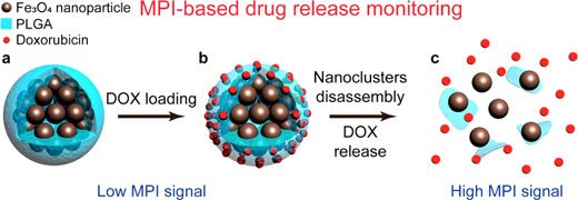 superparamagnetic nanoparticle