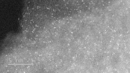 Single platinum atoms spread over a sea of carbon substrate
