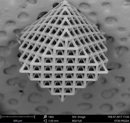 scanning electron microscopy image of a classic octet lattices