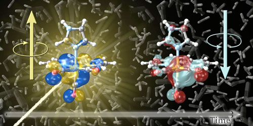Electron Spins