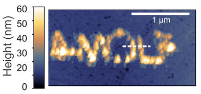 copper clusters on the surface of the gold plate form the letters AMOLF