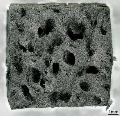 carbonized sponge material